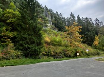 Trail On foot Wiesenttal - Rundwanderweg Wüstenstein - Draisendorf - Photo