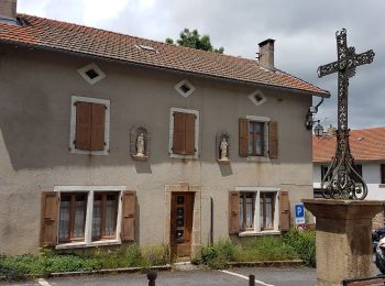 Tour Rennrad Langogne - NAUSSAC - FORÊT DE MERCOIRE - Photo