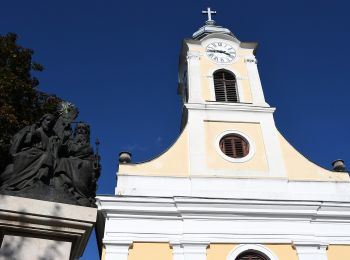 Percorso A piedi Adony - P■ Adony - Photo