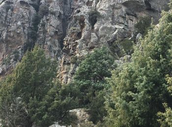 Percorso Marcia Popolasca - Popolasca - Photo