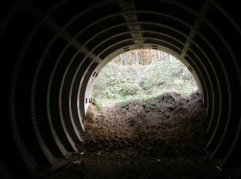 Percorso A piedi Sconosciuto - Szlak Artyleryjski - Photo