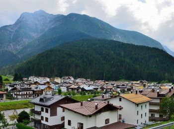 Trail On foot Santo Stefano di Cadore - IT-331 - Photo