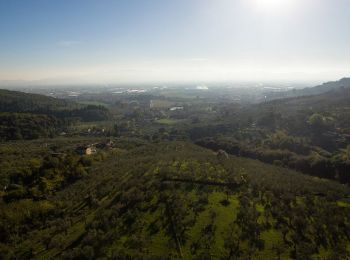 Tocht Te voet Montemurlo - Sentiero CAI 12B - Sez. Prato - Photo