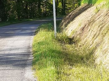 Randonnée Marche Châteauneuf-la-Forêt - Châteauneuf la foret - Photo