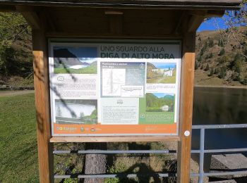 Tour Zu Fuß Ornica - Sentiero delle Orobie Occidentali - Tappa 3 - Photo