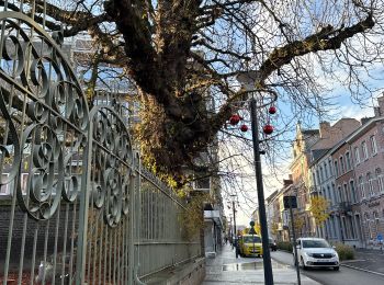 Tour Zu Fuß Landen - Landen - Sint Truiden 19 km - Photo