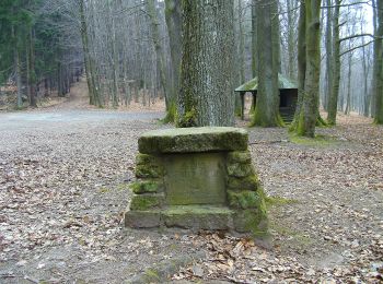 Tocht Te voet Linsengericht - Linsengerichter Rundwanderweg Nr.3 - Photo