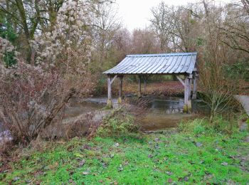 Tour Wandern Saint-Georges-sur-Cher - Saint-Georges-sur-Cher - Vrigny la Rabotière - 5.8km 50m 1h25 - 2021 12 26 - Photo