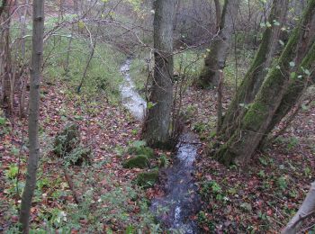 Randonnée A pied Inconnu - Bismarckturm, Naturparkweg 4 - Photo