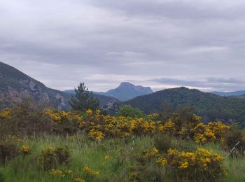 Randonnée Marche Serres - Sentier des Terres Rouges - Photo