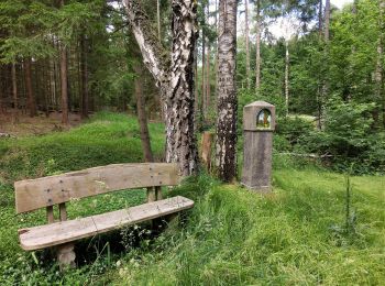 Percorso A piedi Speichersdorf - Speichersdorf Rundwanderweg Nr. 5 - Photo