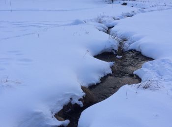 Excursión Raquetas de nieve Formiguères - Lac d’olive  - Photo