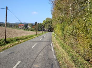 Excursión A pie Rotenburg an der Fulda - Rotenburg Wanderweg R3 - Photo