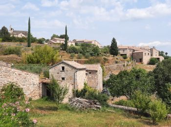 Tour Wandern Faugères - Faugères 13km - Photo