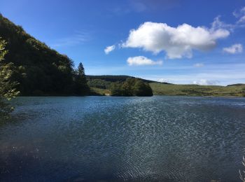 Tour Wandern Besse-et-Saint-Anastaise - Lac Pavin et Lac de Moncynère - Photo