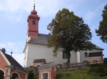 Excursión A pie St. Radegund - Wanderweg 28 - Photo