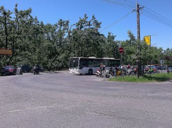 Randonnée A pied Pilisszántó - S+ (Cigány-puszta - Mária-pad - Dobogókői-tisztás) - Photo