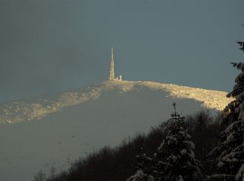 Tocht Te voet  - Valea Arieșul Mare - Cucurbăta Mare (Vf. Bihor) - Photo