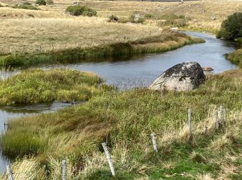 Excursión Senderismo Marchastel - Phot’Aubrac 2023 - Photo