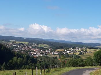 Tour Wandern Pradelles - Pradelles Le Cheylard l Eveque - Photo