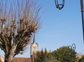 Trail Walking Savigny-le-Temple - Entre Savigny-le-Temple et Seine-Port - Photo