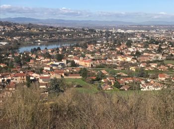 Randonnée Marche Neuville-sur-Saône - Neuville  - Photo