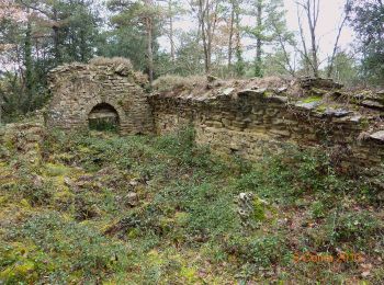 Tour Zu Fuß Vilanova de Sau - SL-C 122 Vilanova de Sau-Puig del Far - Photo