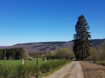 Percorso Marcia Stoumont - UTDS - Lorcé - Coo - Photo