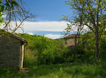 Tour Zu Fuß Bagnaria - IT-144 - Photo