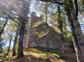 Excursión Senderismo Varenna - Sentiero del Viandante Varenna à Bellona - Photo