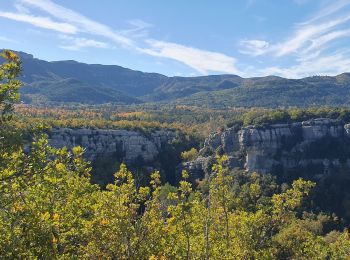 Tour Wandern Tourves - tourves Caramy - Photo