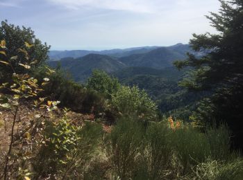 Trail Walking Saint-Martial - Gerbier de Jonc par St Martial - Photo