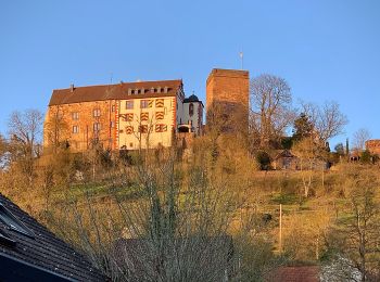 Excursión A pie Werbach - Rundwanderweg Gamburg 1 - Photo