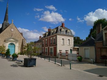 Randonnée Marche Villedômer - Villedômer - Le sentier des Bois - 22.4km 265m 5h05 (25mn) - 2019 08 10 - Photo