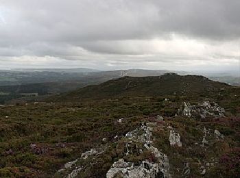 Tour Zu Fuß Monfero - Pena Fesa - Photo