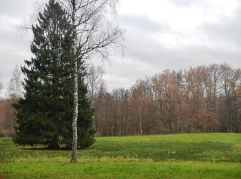 Percorso A piedi Magstadt - DE-SAV Blaues Hufeisen, von - nach? - Photo