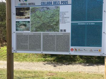 Excursión Senderismo Céret - Fontfrede -pic des salines par el coll de pois de neu - Photo