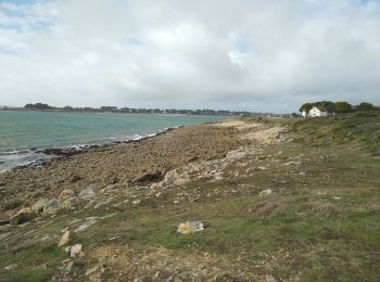 Excursión Senderismo Saint-Philibert - St Philibert 01/10/19 ! - Photo