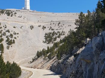 Tour Mountainbike Malaucène - Ventoux Malaucene - Photo