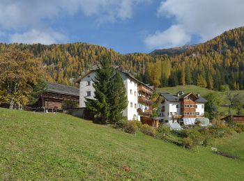 Tocht Te voet La Val - Wengen - La Valle - IT-16 - Photo