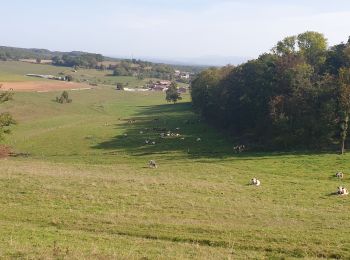 Randonnée V.T.T. Magny-Vernois - la grange du vau, genevreuille, amblans  - Photo