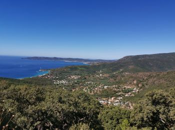 Tour Wandern Le Lavandou - les hauts de cavalière - Photo