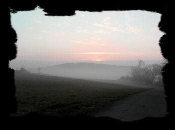 Trail On foot Hintertiefenbach - Rundweg I1 - Photo