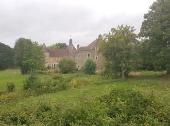 Tour Wandern Menestreau - Ménestreau 27 07 2023 - Photo