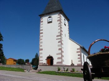 Tocht Te voet Vagney - Circuit du Grisard - Photo