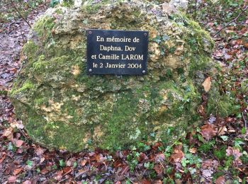 Tour Wandern Dampierre-en-Yvelines - Maison de fer - champ romeny - rue des érables  - Photo