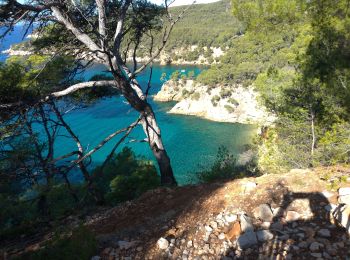 Tocht Stappen Bandol - Bandol Port d'Alon - Photo