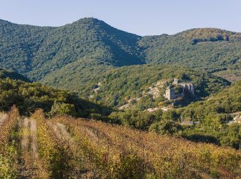 Tocht Te voet Cabrerolles - Le trou du météore à Cabrerolles - Photo