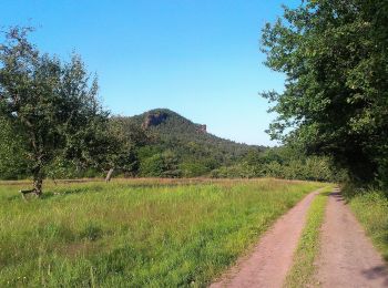 Randonnée A pied Wilgartswiesen - Hauensteiner Nr. 22 - Photo