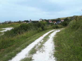 Randonnée Marche Mers-les-Bains - Falaise, mouettes, ville et campagne  - Photo